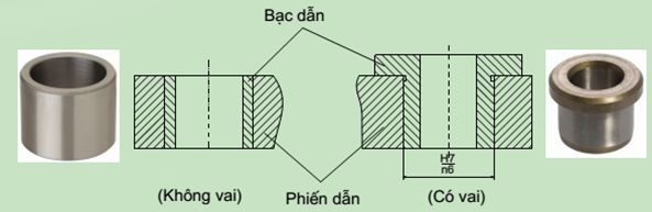 Bạc dẫn cố định